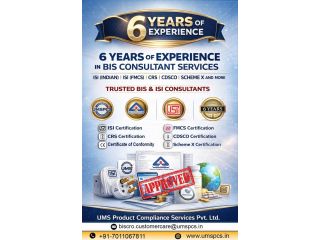 bis-consultants-near-me-small-0