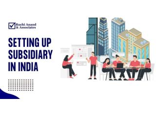 save-time-cost-with-subsidiary-setup-services-in-india-small-0