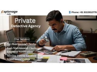 best-private-detective-in-delhi-for-confidential-help-small-0
