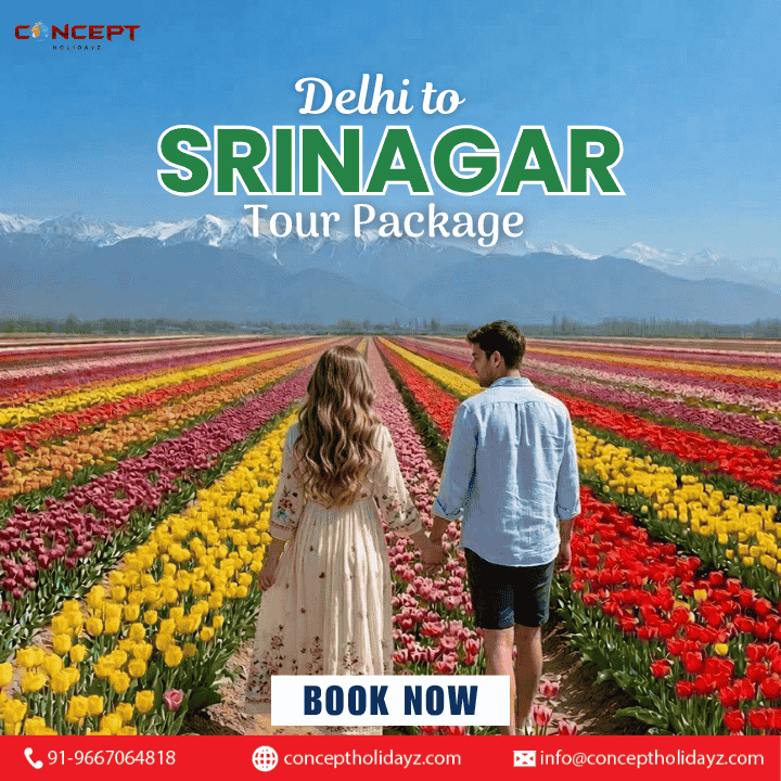 delhi-to-srinagar-tour-package-big-0