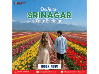 delhi-to-srinagar-tour-package-small-0