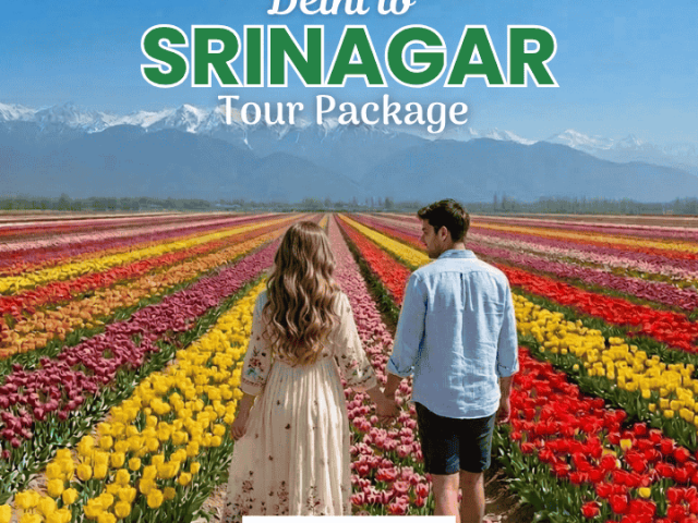 delhi-to-srinagar-tour-package