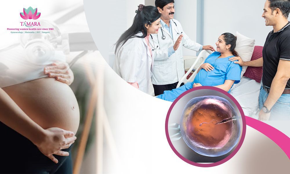 make-parenthood-possible-with-best-ivf-specialist-in-bangalore-big-0