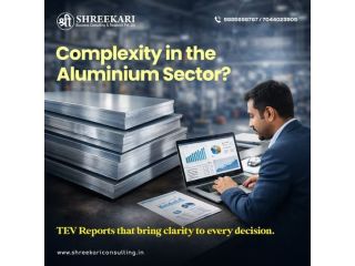 tev-study-tev-report-and-smart-project-financing-small-0