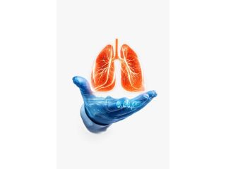 clear-insights-on-lung-transplant-price-in-india-small-0