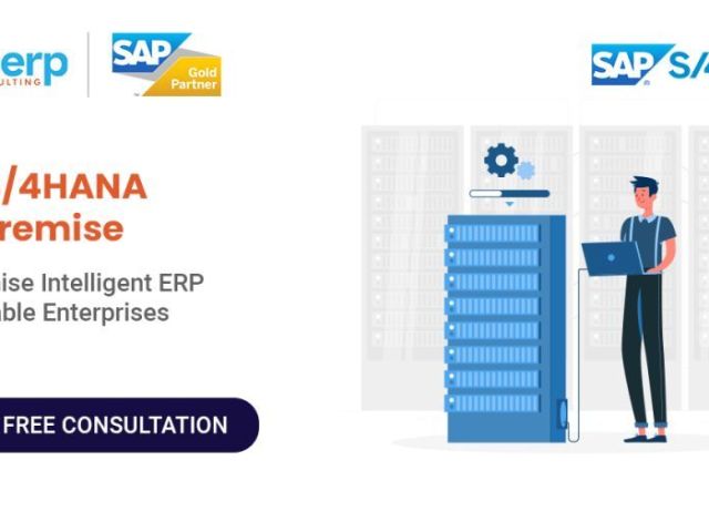 sap-s4hana-on-premise-setup-for-better-business-control
