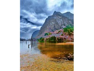 customized-north-east-tour-package-from-guwahati-small-4