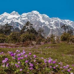 mumbai-to-sikkim-tour-package-big-3