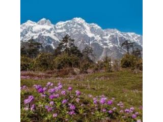 mumbai-to-sikkim-tour-package-small-3