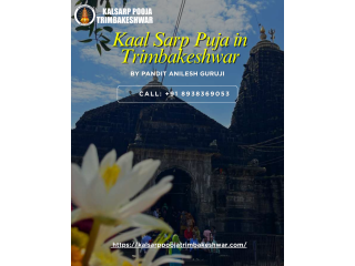 kalsarp-pooja-trimbakeshwar-booking-and-cost-small-1