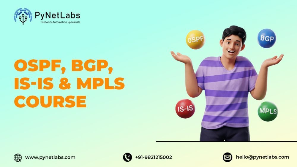 master-routing-protocols-ospf-bgp-is-is-mpls-course-big-0