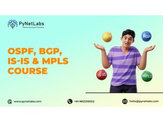 master-routing-protocols-ospf-bgp-is-is-mpls-course-small-0