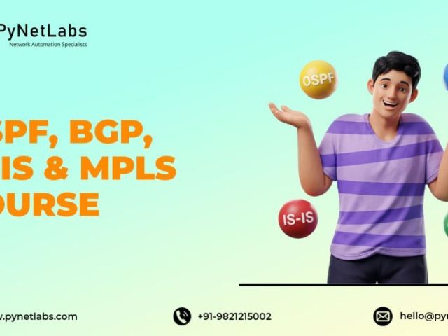 master-routing-protocols-ospf-bgp-is-is-mpls-course
