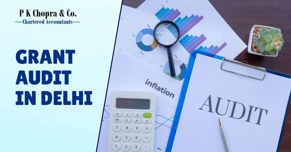 save-time-cost-with-grant-audit-services-in-delhi-big-0