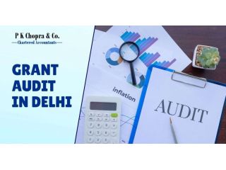 save-time-cost-with-grant-audit-services-in-delhi-small-0