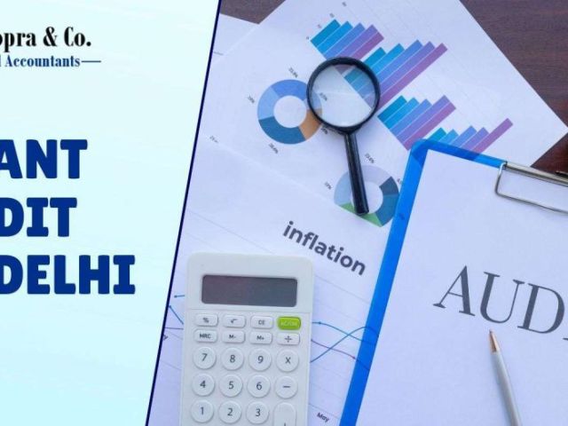 save-time-cost-with-grant-audit-services-in-delhi