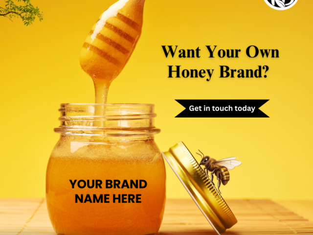 turn-your-dream-into-a-brand
