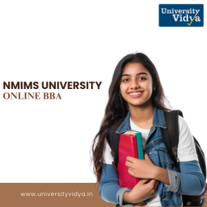 nmims-online-bba-premium-business-management-foundation-big-0