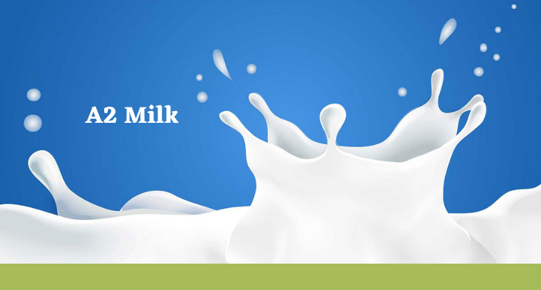 buy-a2-milk-testing-kit-for-accurate-detection-big-0