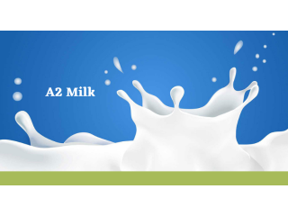 buy-a2-milk-testing-kit-for-accurate-detection-small-0