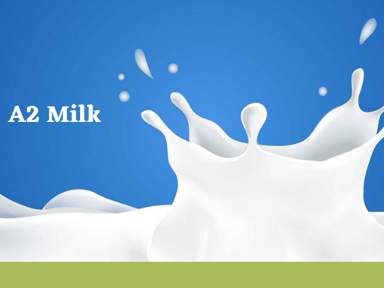 buy-a2-milk-testing-kit-for-accurate-detection