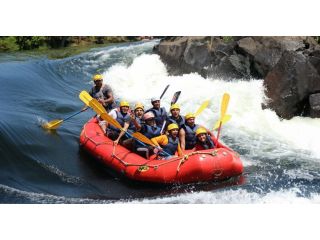 complete-dandeli-resort-packages-dandeli-resort-retreat-small-0