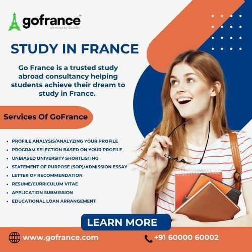 your-pathway-to-global-success-with-go-newzealand-big-0