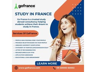 your-pathway-to-global-success-with-go-newzealand-small-0