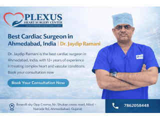 hearttreatmentbyaskilledcardiacsurgeoninahmedabad-small-0