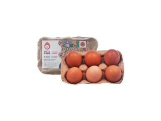 d3-dha-brown-eggs-vs-regular-eggs-small-0