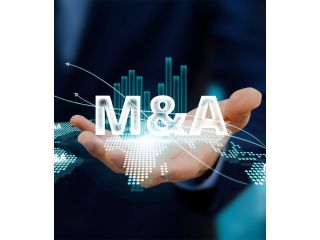 top-ma-advisory-firms-in-india-expert-deal-support-small-0