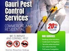 searching-for-pest-control-service-near-me
