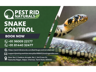 snake-control-chennai-safe-professional-snake-removal-small-0