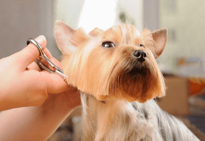 salon-haircut-styling-and-care-solutions-big-0