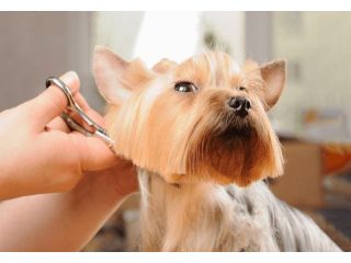 salon-haircut-styling-and-care-solutions-small-0