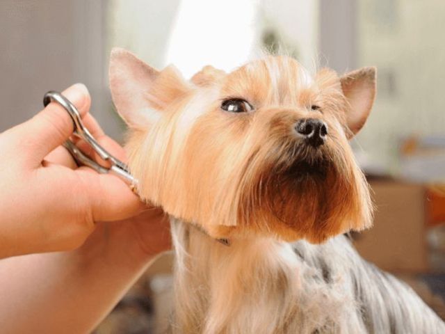 salon-haircut-styling-and-care-solutions