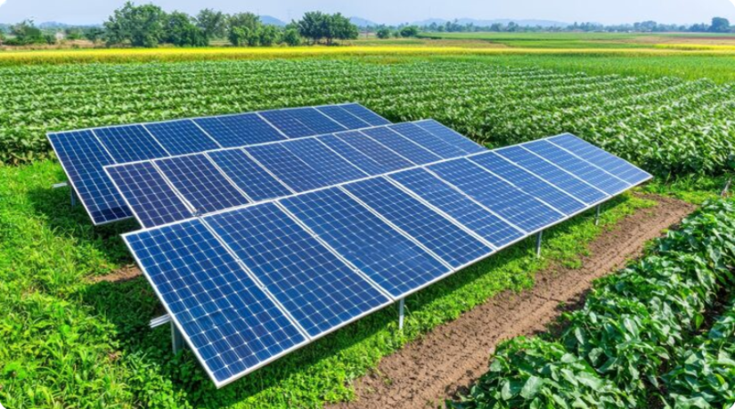 go-green-with-solar-panels-for-agriculture-big-0