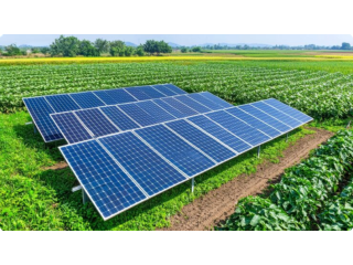 go-green-with-solar-panels-for-agriculture-small-0