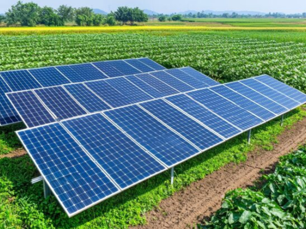 go-green-with-solar-panels-for-agriculture