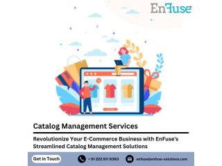 streamlined-catalog-management-with-enfuse-solutions-small-0