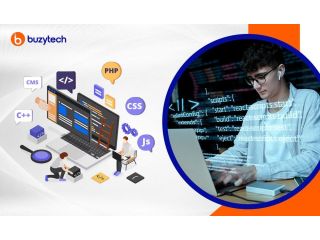 professional-custom-website-development-chandigarh-buzytech-small-0