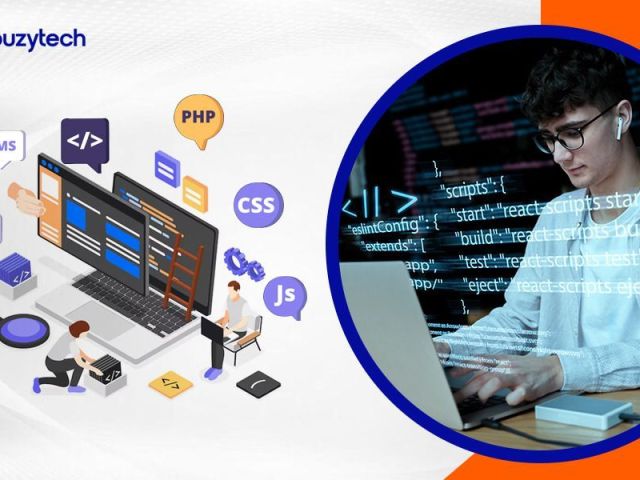 professional-custom-website-development-chandigarh-buzytech