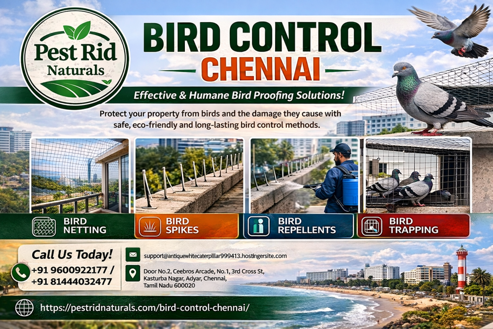 bird-control-chennai-pest-rid-naturals-big-0