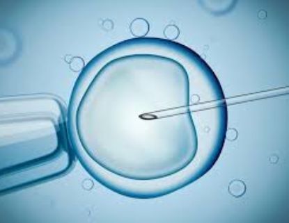 best-ivf-center-in-kolkata-for-advanced-fertility-care-big-0