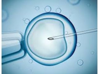 best-ivf-center-in-kolkata-for-advanced-fertility-care-small-0
