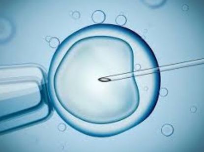 best-ivf-center-in-kolkata-for-advanced-fertility-care