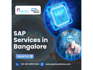 sap-services-in-bangalore-sap-ams-partner-in-india-small-0