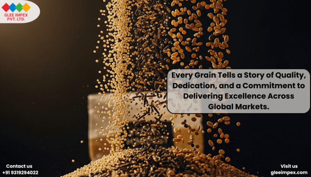 trusted-grains-exporter-in-india-for-global-buyers-big-0