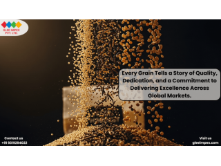 trusted-grains-exporter-in-india-for-global-buyers-small-0