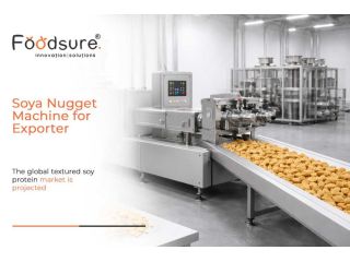 best-soya-nugget-machine-for-exporter-markets-small-0